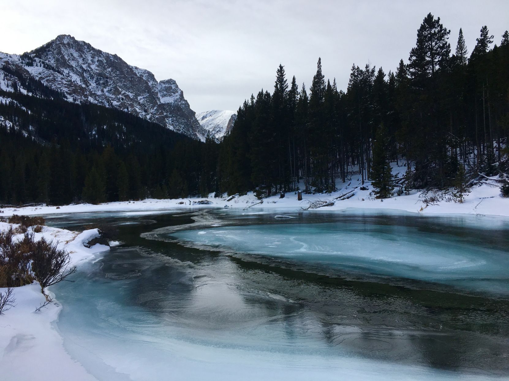 Broadwater Meadow winter